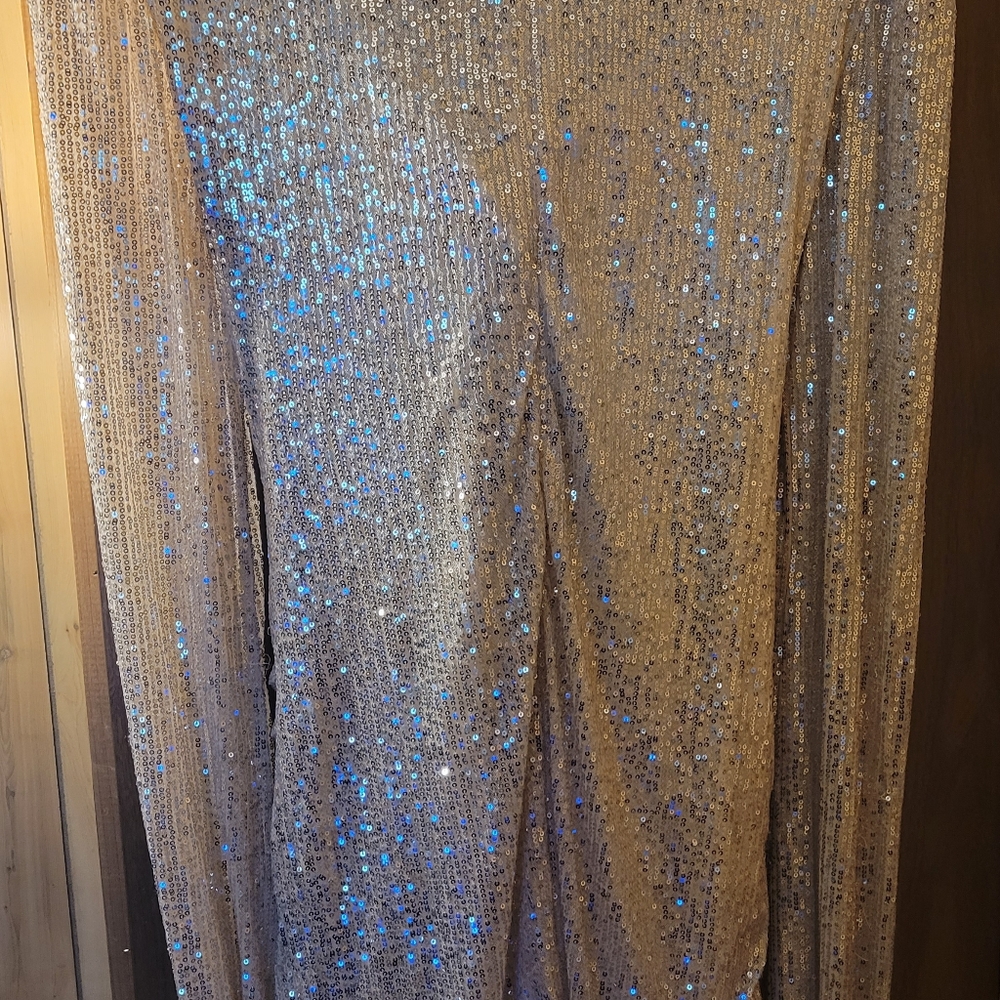 Fashionova 2x Dress - Picture 3 of 4